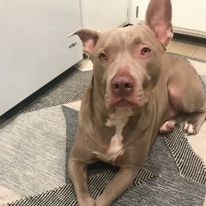 Meet your Posher, Candice